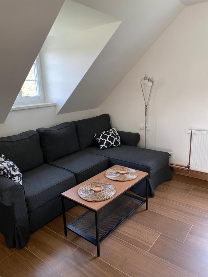 Apartman 430 Destne v Orlickych horach Exterior photo